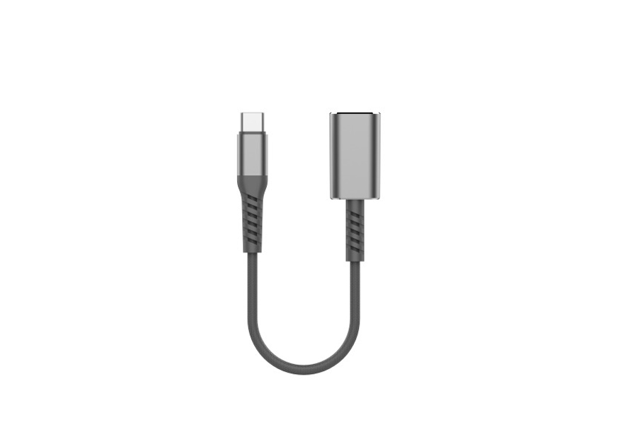 USB C to Lightning Audio Adapter